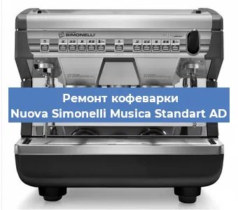 Чистка кофемашины Nuova Simonelli Musica Standart AD от накипи в Новосибирске